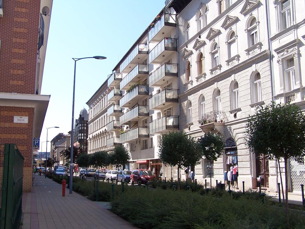 Apartment Sinko - Free Garage Parking, Central, 2 Bedrooms 4 Single Beds, Flexi Check-Out Budapest Esterno foto